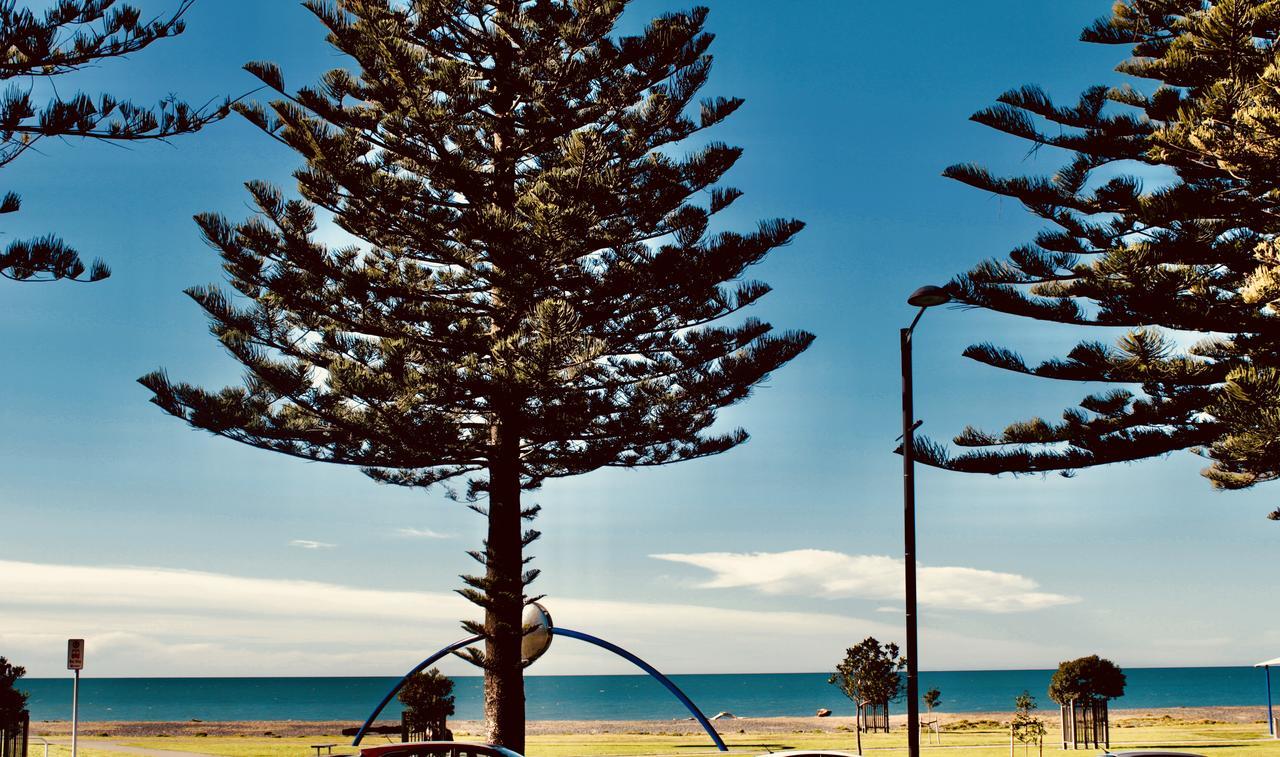 Hotel The Nautilus à Napier Extérieur photo View of the beach from the foreshore