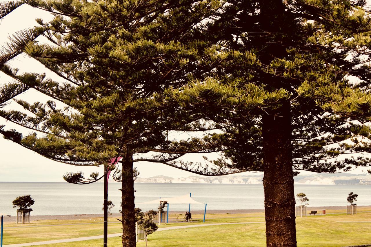 Hotel The Nautilus à Napier Extérieur photo View of the bay from the foreshore