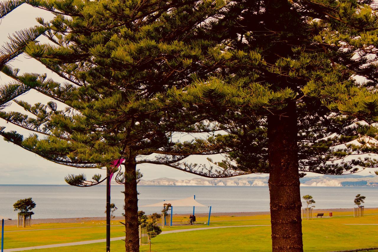 Hotel The Nautilus à Napier Extérieur photo View of the bay from the foreshore